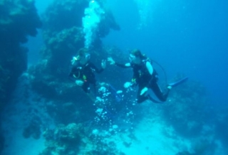 Adventures under the sea 